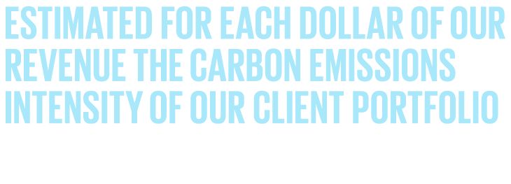 Estimated for each dollar of our revenue the carbon emissions intensity of our client portfolio enabling strategies for future growth aligned with broader decarbonisation trends and targets.