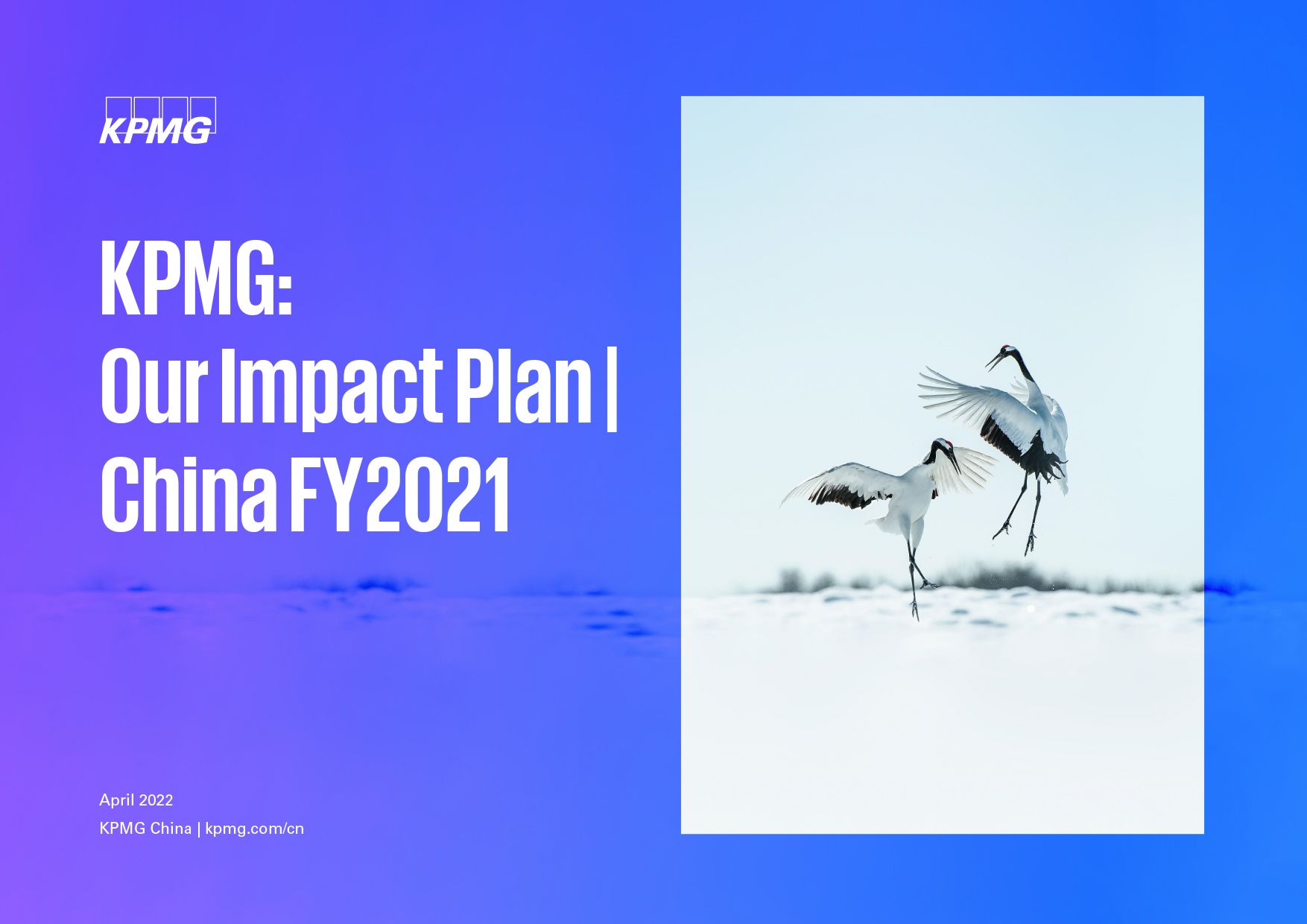 Our Impact Plan report cover